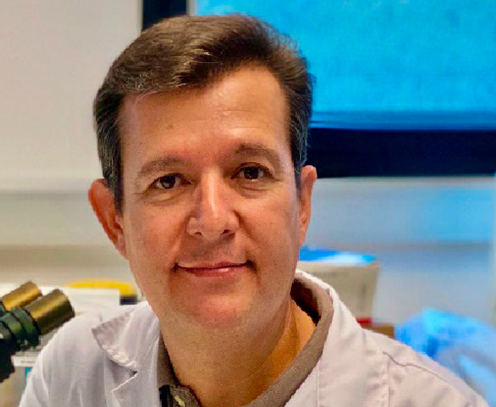 Justo P Castano Curso de Verano   Cáncer de Páncreas Estudiar en Universidad Privada Madrid