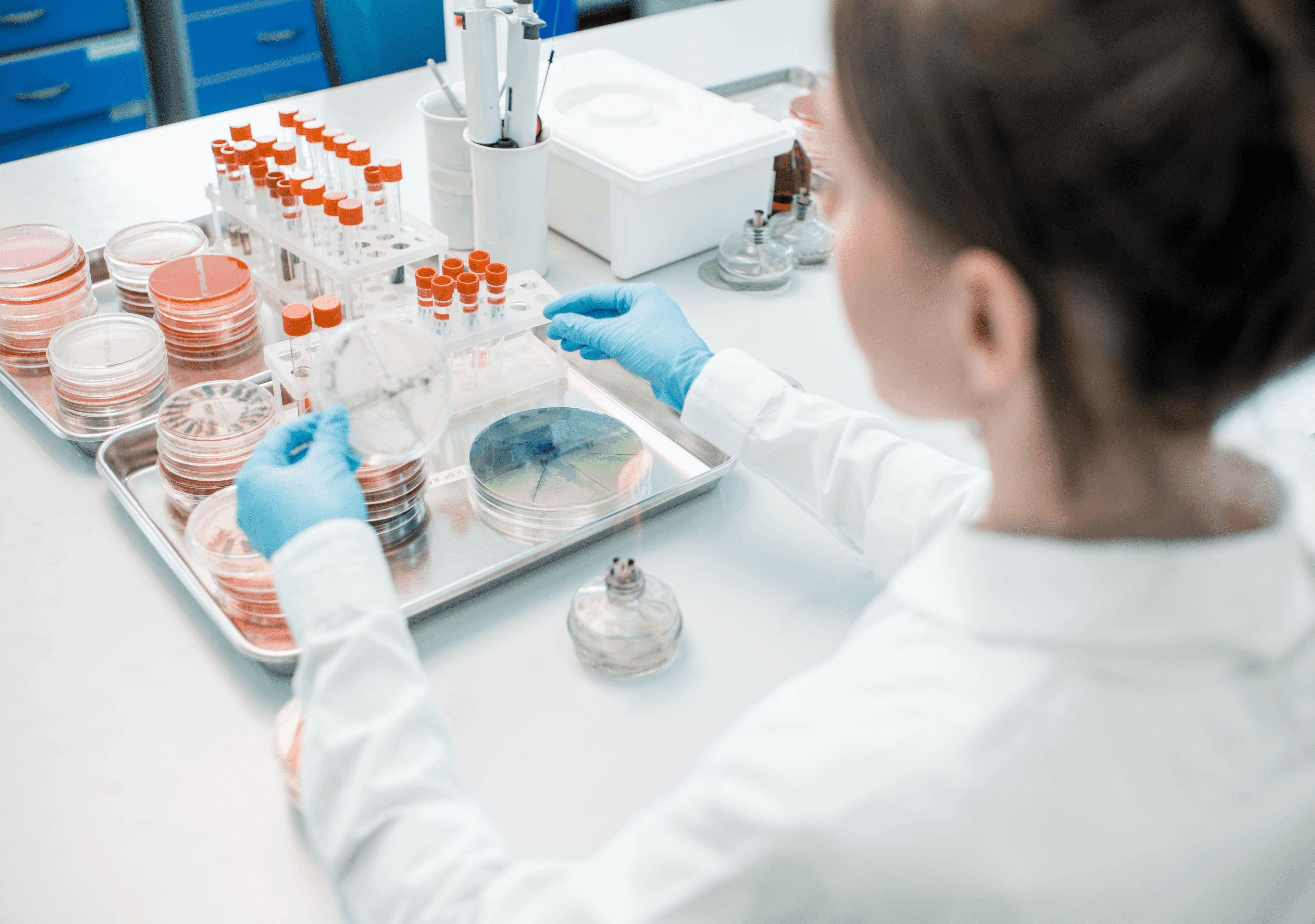 Máster de Formación Permanente de los Departamentos Científicos de la Industria Farmacéutica/ Biotecnológica 11 Máster de Formación Permanente de los Departamentos Científicos de la Industria Farmacéutica/ Biotecnológica Estudiar en Universidad Privada Madrid