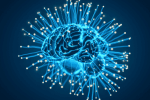 La UFV solicita una patente para una IA que construye un perfil detallado de la actividad cerebral | UFV 240408_portada-300x200 La UFV solicita una patente para una IA que construye un perfil detallado de la actividad cerebral | UFV Estudiar en Universidad Privada Madrid