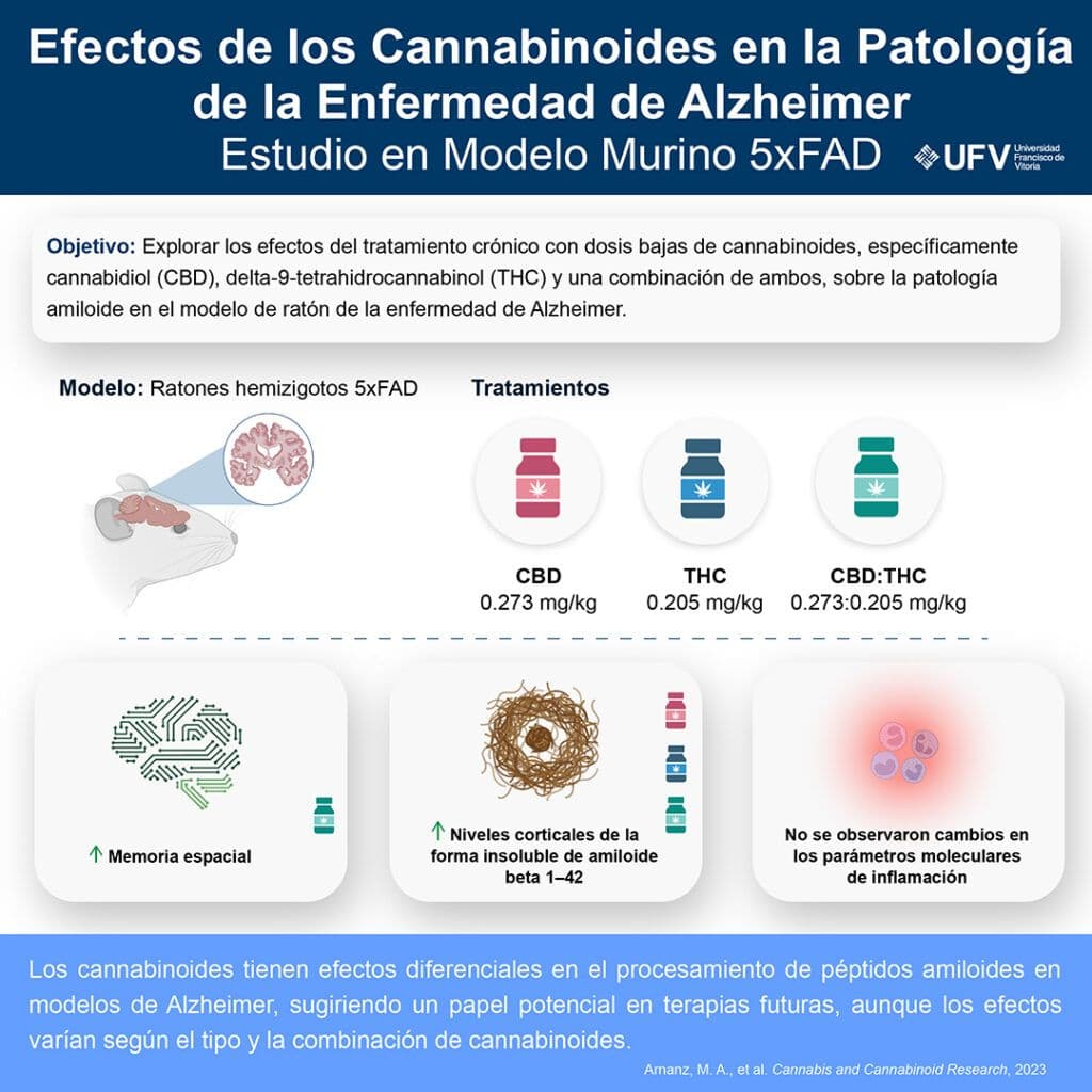 Un estudio de la UFV muestra los beneficios potenciales de los cannabinoides CBD y THC para el tratamiento del Alzheimer | UFV 240429_infografia-cannabinoides-y-Alzheimer-1024x1024 Un estudio de la UFV muestra los beneficios potenciales de los cannabinoides CBD y THC para el tratamiento del Alzheimer | UFV Estudiar en Universidad Privada Madrid