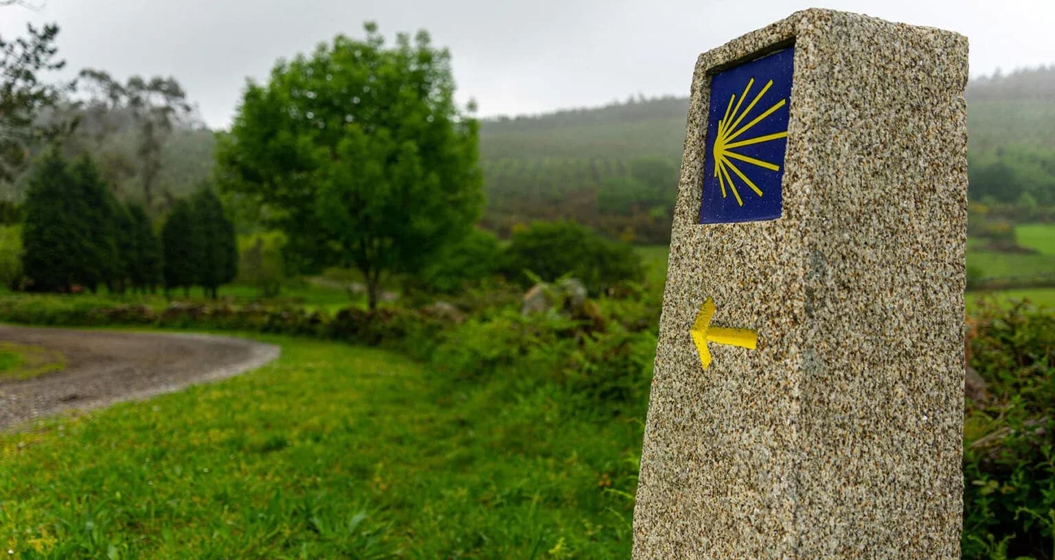 Vive en Madrid. Vive la UFV Camino-Santiago_ufv-WEB-1536x816.jpg Vive en Madrid. Vive la UFV Estudiar en Universidad Privada Madrid