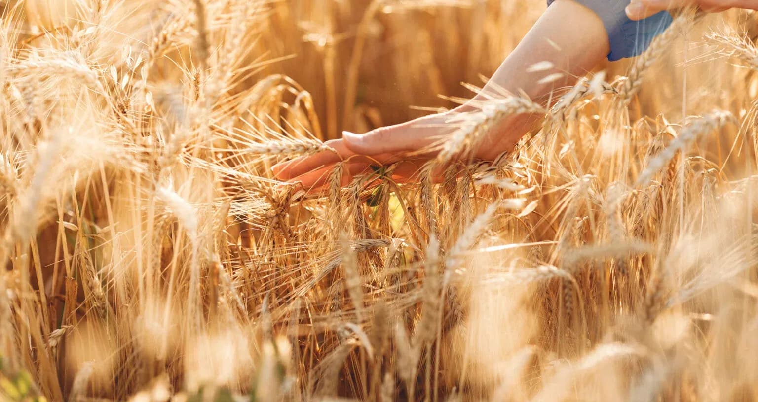 Vive en Madrid. Vive la UFV Emaus-Retiro_ufv-INTRANET-1536x816.jpg Vive en Madrid. Vive la UFV Estudiar en Universidad Privada Madrid