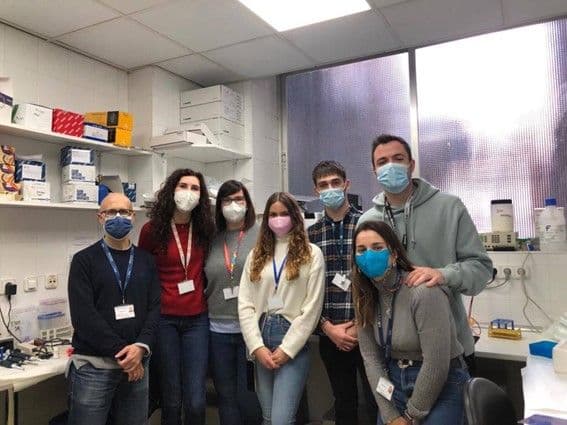 La UFV se une a la lucha contra el cáncer de páncreas | Noticias de Actualidad UFV | UFV Grupo-Investigacion-en-Oncologia-Molecular-UFV La UFV se une a la lucha contra el cáncer de páncreas | Noticias de Actualidad UFV | UFV Estudiar en Universidad Privada Madrid