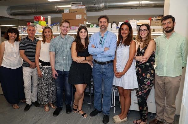 Fundación Vithas y la Universidad Francisco de Vitoria constituyen un laboratorio para la investigación de tumores cerebrales | UFV Grupo_baja-1 Fundación Vithas y la Universidad Francisco de Vitoria constituyen un laboratorio para la investigación de tumores cerebrales | UFV Estudiar en Universidad Privada Madrid