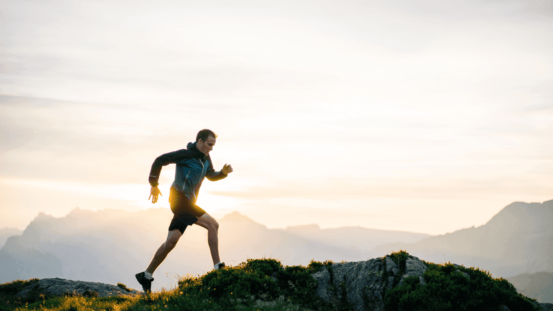 Curso de Especialización en Vesículas Extracelulares - Postgrados Universidad Francisco de Vitoria M11_Hero Imagen Destacada_ Entrenamiento en Trail Running Curso de Especialización en Vesículas Extracelulares - Postgrados Universidad Francisco de Vitoria Estudiar en Universidad Privada Madrid
