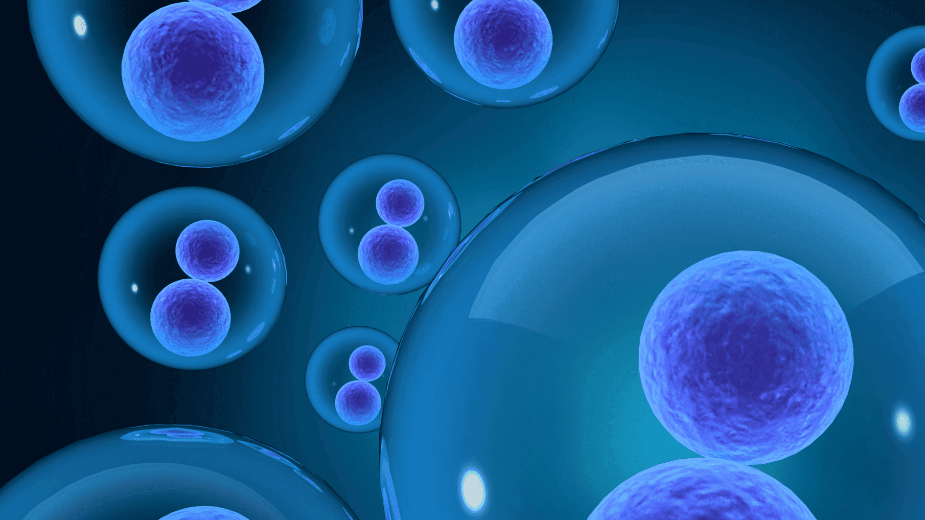 Curso de Especialización en Vesículas Extracelulares - Postgrados Universidad Francisco de Vitoria M21_ContentText_Horizontal_vesículas extracelulares Curso de Especialización en Vesículas Extracelulares - Postgrados Universidad Francisco de Vitoria Estudiar en Universidad Privada Madrid