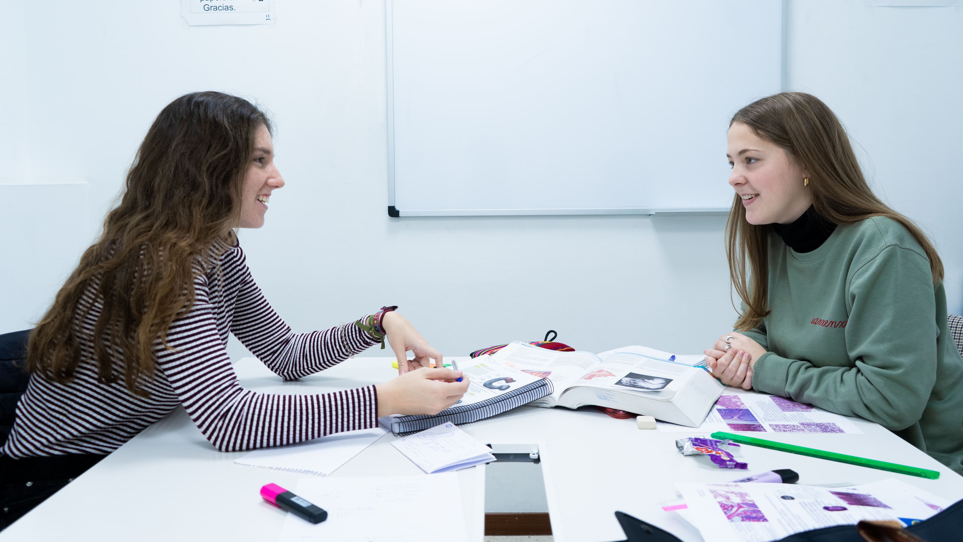 Double Degree in Psychology and Criminology Madrid M21_Horizontal_ImgRelacionada_Psicología+Criminología Double Degree in Psychology and Criminology Madrid Study at the Universidad Privada Madrid