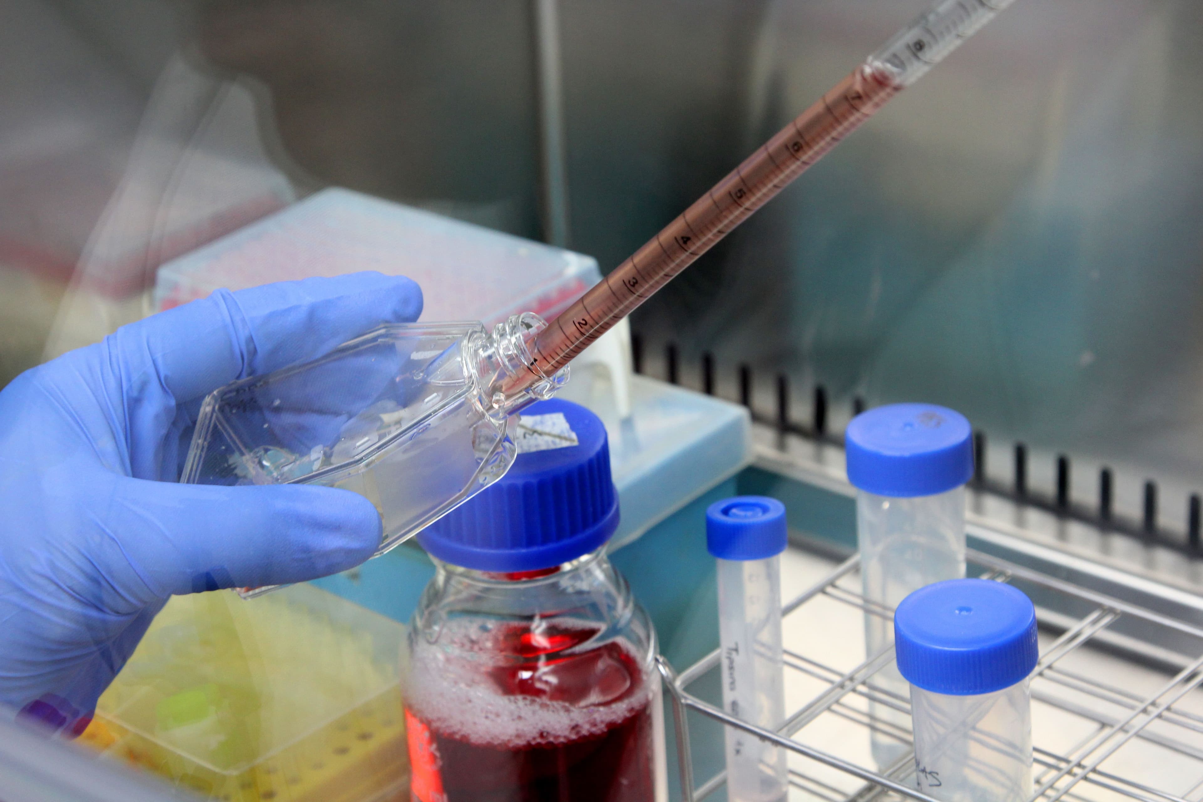 Máster de Formación Permanente en Monitorización y Gestión de Ensayos Clínicos MBA DIGITAL BUSINESS DE LA INDUSTRIA FARMACÉUTICA, PARAFARMACÉUTICA Y DEL CUIDADO DE LA SALUD Máster de Formación Permanente en Monitorización y Gestión de Ensayos Clínicos Estudiar en Universidad Privada Madrid