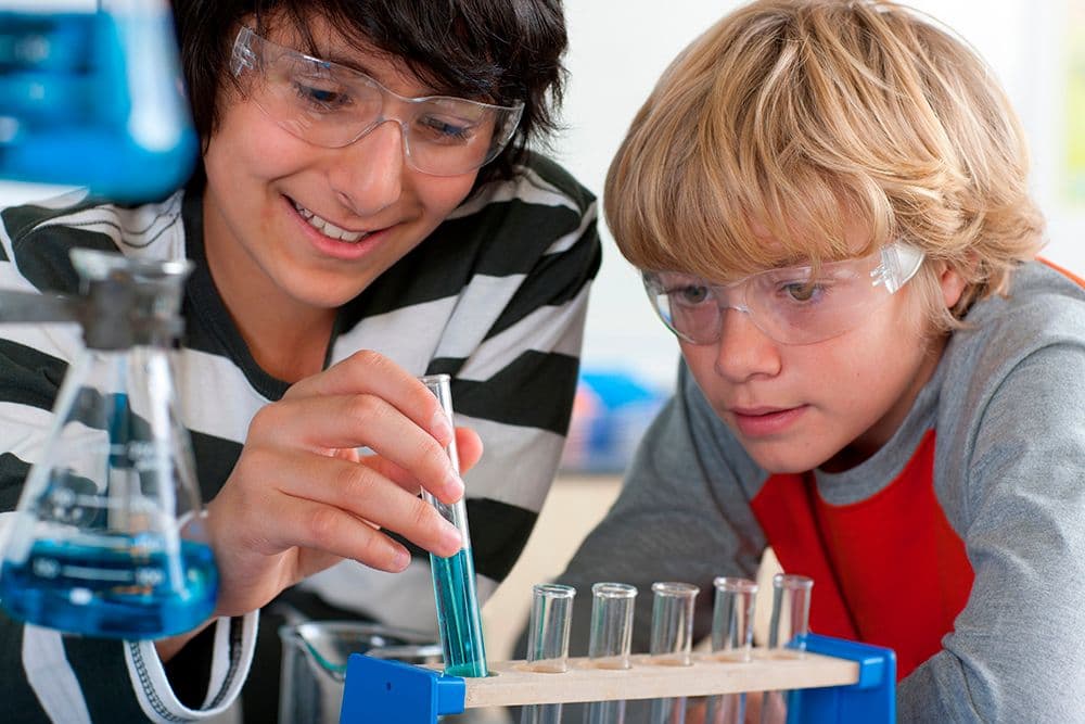 INVESTIGACIÓN a-close-up-shot-of-two-young-boys-inspecting-test-2026-03-26-05-39-53-utc INVESTIGACIÓN Estudiar en Universidad Privada Madrid