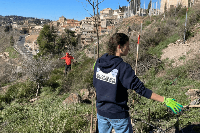 La comunidad de la UFV reforesta una escombrera del río Tajo | Noticias de Actualidad UFV | UFV actividad-reforestacion-2 La comunidad de la UFV reforesta una escombrera del río Tajo | Noticias de Actualidad UFV | UFV Estudiar en Universidad Privada Madrid
