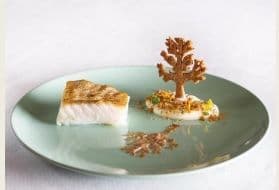 Teresa Montejo, alumna de Gastronomía, participa en el concurso Protur Chef | UFV bacalao Teresa Montejo, alumna de Gastronomía, participa en el concurso Protur Chef | UFV Estudiar en Universidad Privada Madrid