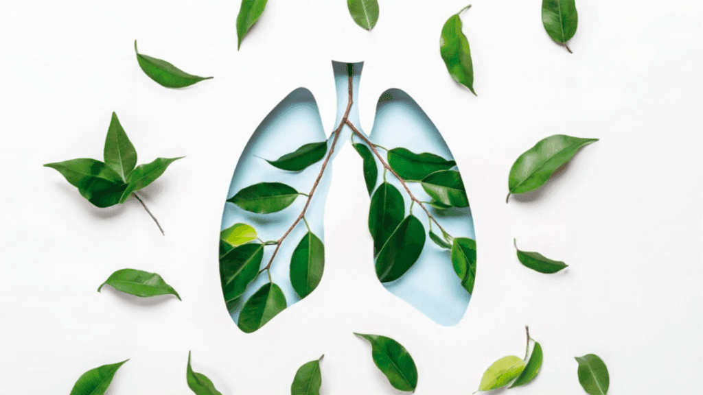 La UFV se une al Manifiesto de la Alianza del Movimiento Sin Tabaco de la AECC para conseguir la Primera Generación de Jóvenes Europeos Libres de Tabaco | UFV campus_sin_humo-1024x576 La UFV se une al Manifiesto de la Alianza del Movimiento Sin Tabaco de la AECC para conseguir la Primera Generación de Jóvenes Europeos Libres de Tabaco | UFV Estudiar en Universidad Privada Madrid