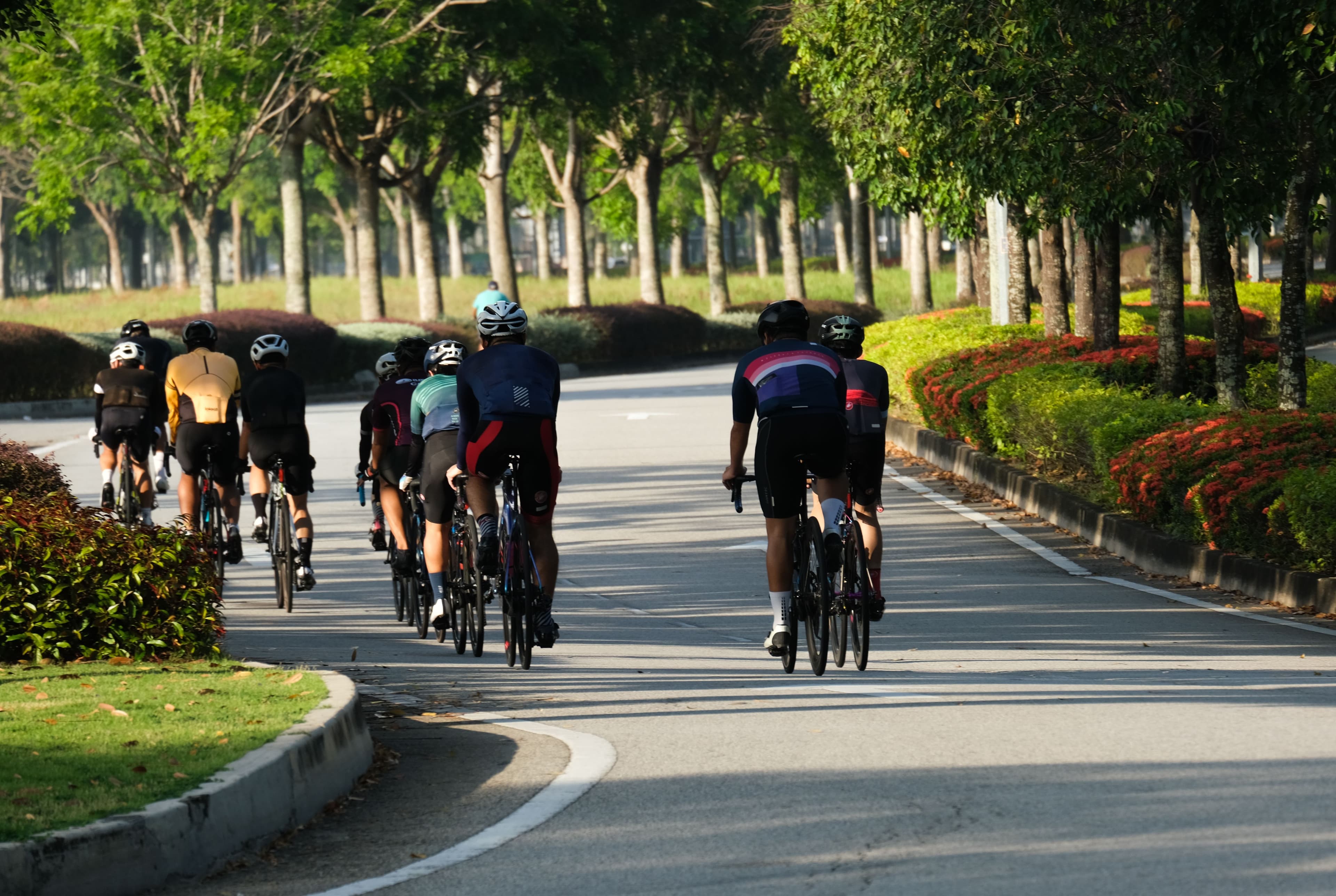International Conference on Forgiveness and Reconciliation | UFV cyclists-riding-bicycles-on-road-lined-with-trees-2026-09-23-06-32-34-utc International Conference on Forgiveness and Reconciliation | UFV Study at the Universidad Privada Madrid