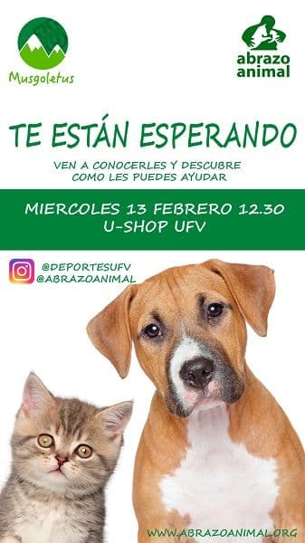 Charla sobre la adopción de animales | UFV ed91b594-8bc8-469d-90a3-93c010754226-1 Charla sobre la adopción de animales | UFV Estudiar en Universidad Privada Madrid