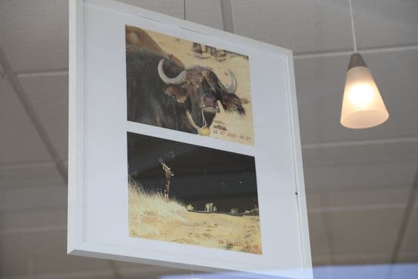 Gonzalo Sobrini, alumni de la UFV, expone su trabajo de fotografía por África | UFV expo-gonzalo-sobrini Gonzalo Sobrini, alumni de la UFV, expone su trabajo de fotografía por África | UFV Estudiar en Universidad Privada Madrid