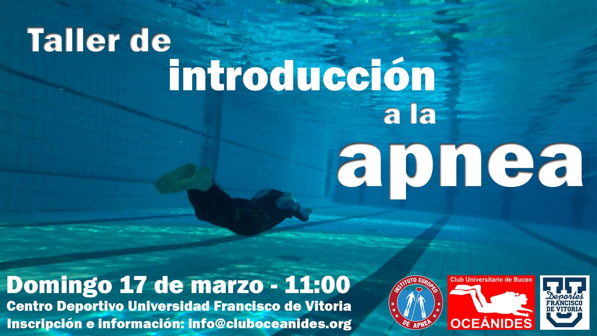 Taller de buceo en la UFV – 17 de marzo | UFV taller-apnea Taller de buceo en la UFV – 17 de marzo | UFV Estudiar en Universidad Privada Madrid