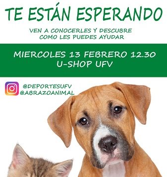 actualidad UFV ed91b594 8bc8 469d 90a3 93c010754226 337x357 actualidad UFV
