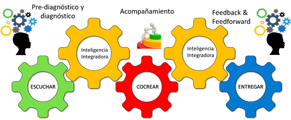 Actividades cea cocreando Actividades Estudiar en Universidad Privada Madrid
