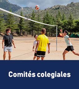125 1 COLEGIO MAYOR Estudiar en Universidad Privada Madrid