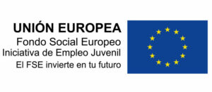 Servicio de Atención a Personas con Necesidades Especiales FSE 300x131 Servicio de Atención a Personas con Necesidades Especiales Estudiar en Universidad Privada Madrid