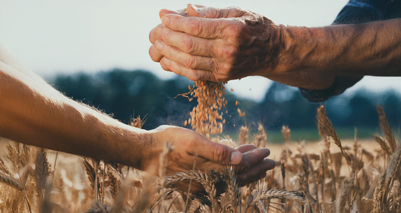 Hackathon OdiseIA4Good: II Hackathon Internacional de IA para Colectivos Vulnerables Congreso Formacion Integral ufv WEB Hackathon OdiseIA4Good: II Hackathon Internacional de IA para Colectivos Vulnerables Estudiar en Universidad Privada Madrid
