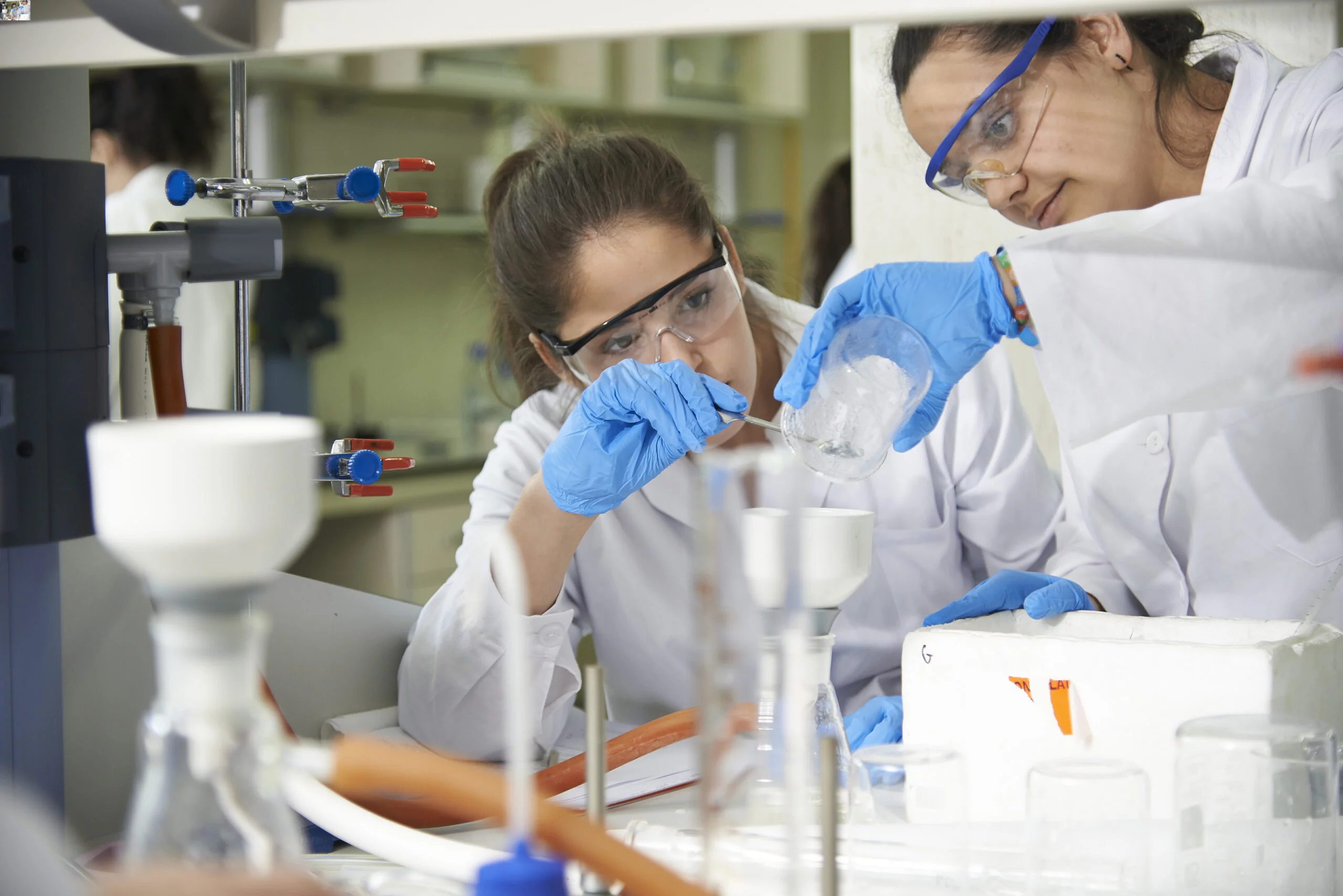 %name Biotechnology and Pharmacy Estudiar en Universidad Privada Madrid