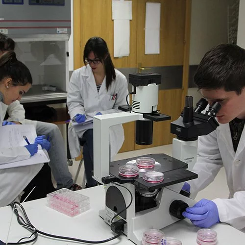 %name Biomedicina Estudiar en Universidad Privada Madrid