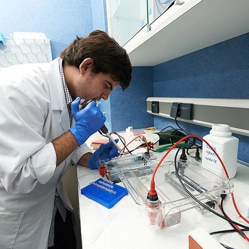 %name Biomedicina Estudiar en Universidad Privada Madrid