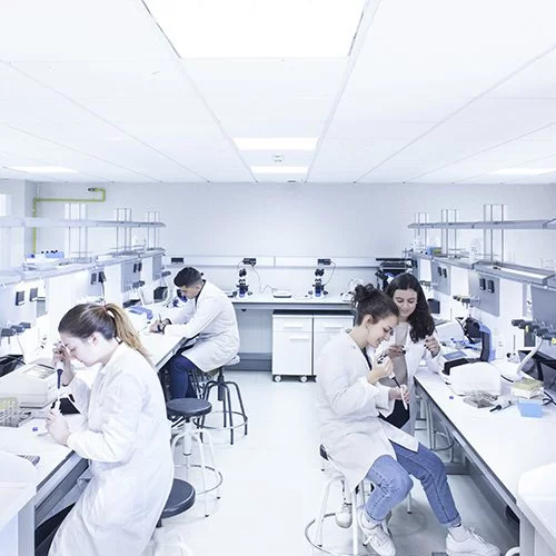 %name Biomedicina Estudiar en Universidad Privada Madrid