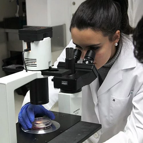 %name Biomedicina Estudiar en Universidad Privada Madrid