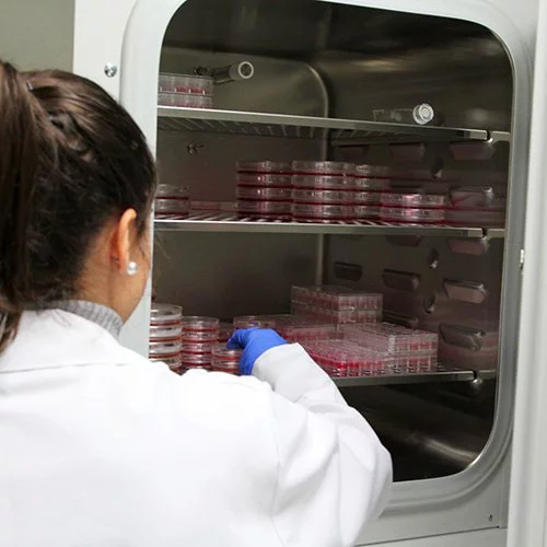%name Biomedicina Estudiar en Universidad Privada Madrid