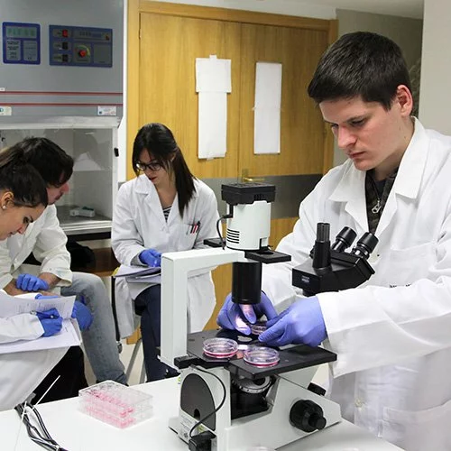 %name Biomedicina Estudiar en Universidad Privada Madrid