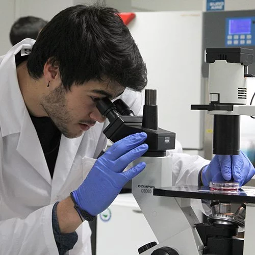 %name Biomedicina Estudiar en Universidad Privada Madrid