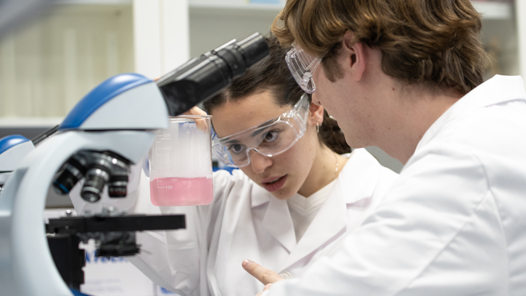 El Grado en Biotecnología de la UFV, entre los cinco mejores de España según el ranking de El Mundo DSC02947baja 1024x576 El Grado en Biotecnología de la UFV, entre los cinco mejores de España según el ranking de El Mundo Estudiar en Universidad Privada Madrid