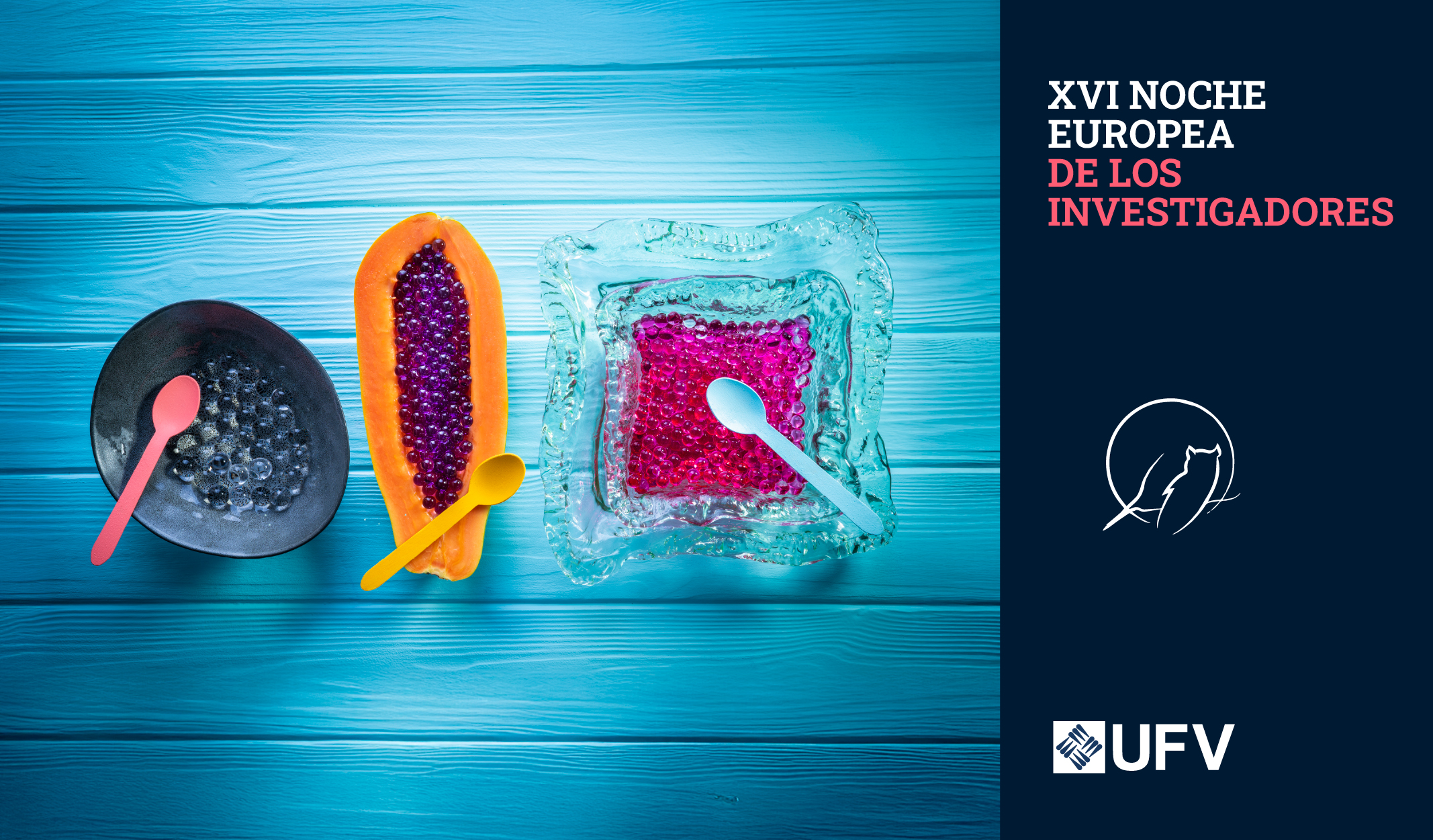 1024x600 Gastronomia 360 Innovacion bienestar y respeto por el entorno en cada bocado Noche de los Investigadores Estudiar en Universidad Privada Madrid