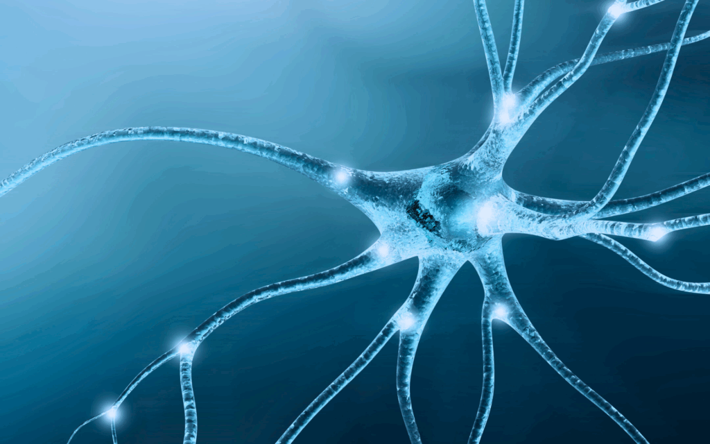 ACTUALIDAD UFV 250702 portada noticia interneuronas 1024x640 ACTUALIDAD UFV Estudiar en Universidad Privada Madrid