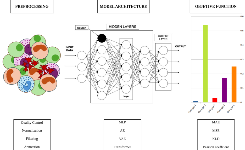 %name Un estudio de la UFV acerca diagnósticos oncológicos más rápidos y asequibles gracias a la deconvolución celular con IA Estudiar en Universidad Privada Madrid