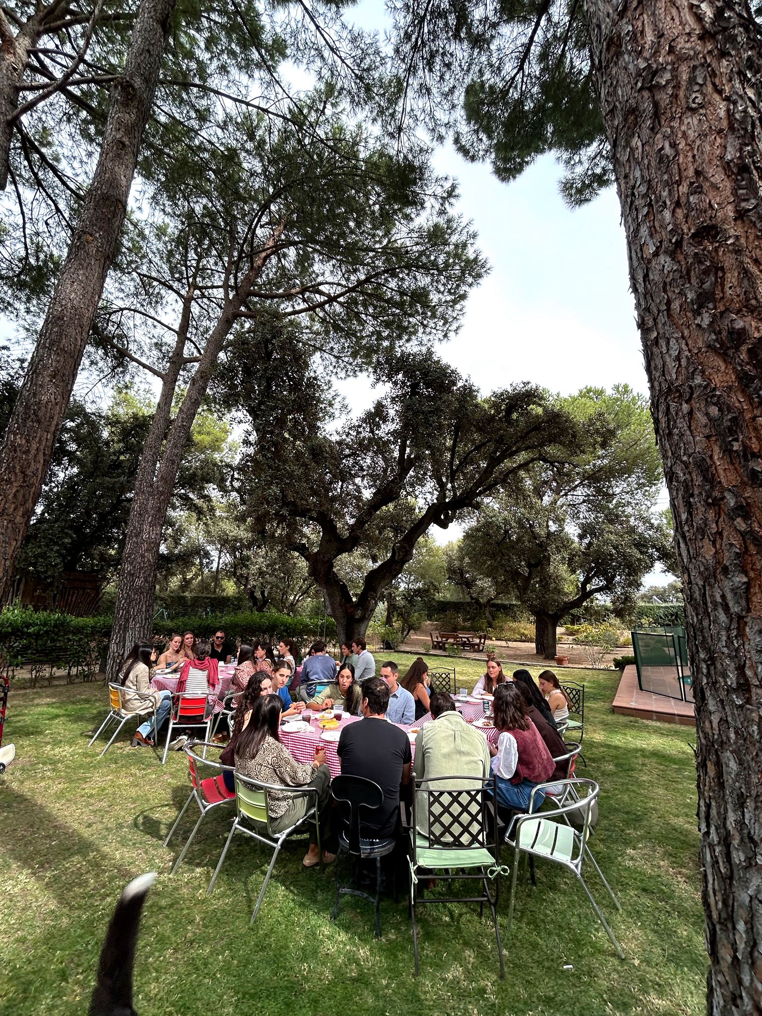 %name Internal Meetings Estudiar en Universidad Privada Madrid