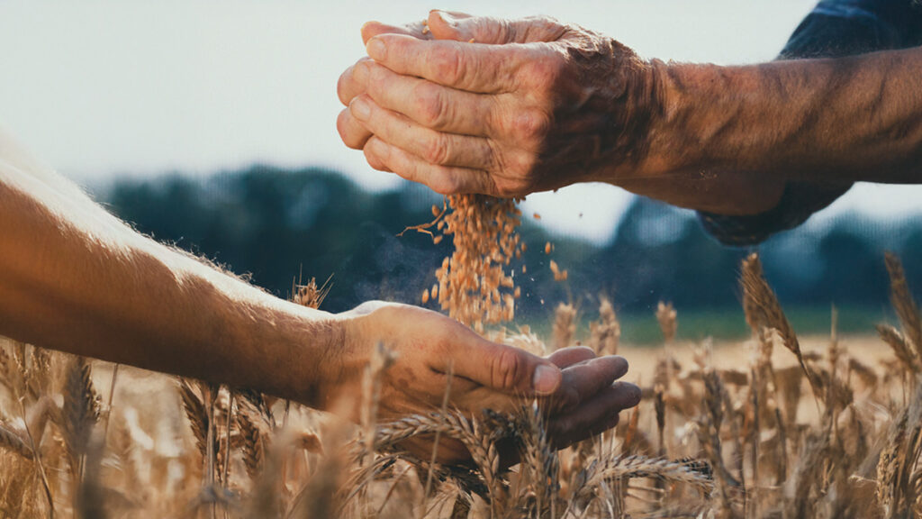 Congreso Formacion Integral ufv APP 1024x576 La Universidad Francisco de Vitoria acoge el III Congreso Internacional de Formación Integral, organizado por la Red Internacional de Universidades Regnum Christi Estudiar en Universidad Privada Madrid
